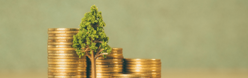 CMU and Sustainable Finance