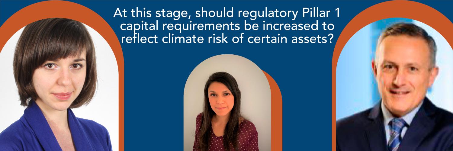 At this stage, should regulatory Pillar 1 capital requirements be increased to reflect climate risk of certain assets?